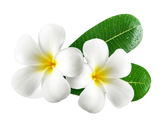 Sarayu Hair Beauty Salon